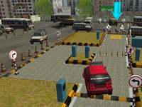 Driving License Test 3D