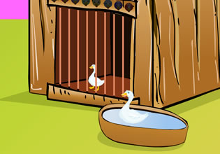 play Yoopygames Duck Escape