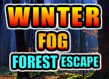 Winter Fog Forest Escape
