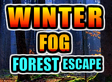 Gamesnovel Winter Fog Forest Escape