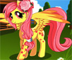 play Pony Makeover