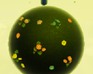 play Little Planet