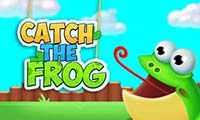 play Catch The Frog