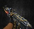 play Fire Unicorn Gunner