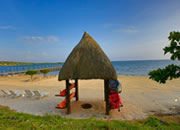 play Escape Flamingo Beach