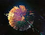 play Planet Splitters