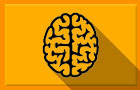 play Memory Step Up