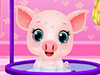 play My Pet Doctor - Baby Piggy