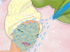 play Fairy Barbie Preparation