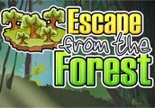 play Escape From The Forest