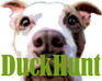 play Duckhunt