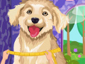 play Design Your Doggies Outfit