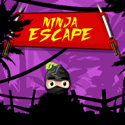 Ninja Escape