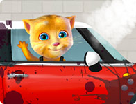 Ginger Car Wash