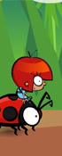 play Ladybird Racing