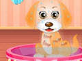 play My Pet Doctor Puppy Care