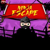 play Ninja Escape