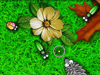 play Hungry Hedgehog