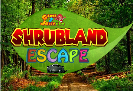 play Shrubland Escape