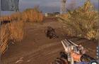 play Kill The Boar