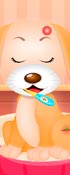 play My Pet Doctor