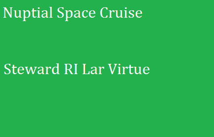 play Nuptial Space Cruise