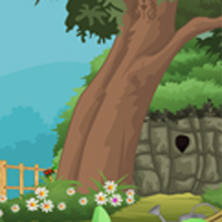 play Pacific Forest Escape