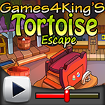 play G4K Tortoise Escape Game Walkthrough