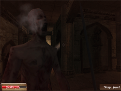 play 3 D Zombie Hell 2