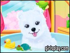 play Fluffy Puppy Care