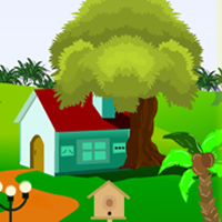 play Forest Entry House Escape