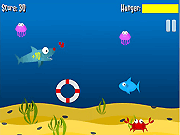 play Shark Swim