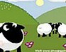 play Sheep