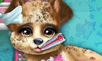 play Puppy Rescue Vet