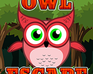 play Owl Escape