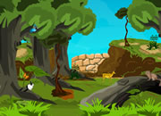 play Amazon Forest Escape