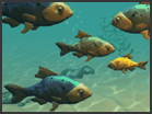 play Fisk