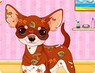 play Chihuahua Puppy Care