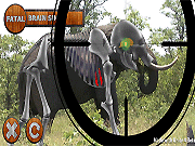 play Sport Game Hunt