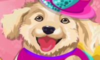 play Design Your Doggies Outfit