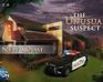 play The Unusual Suspect