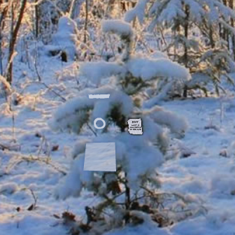 play Escapefan Winter Forest Escape 4