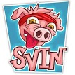 play Svin