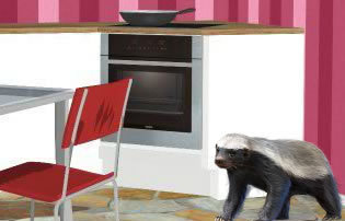 play Little Badger Room Escape