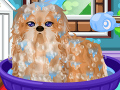play Groom That Puppy 2
