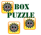 Box Puzzle