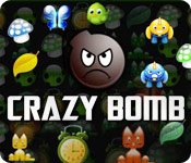 play Crazy Bomb
