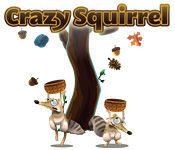 play Crazy Squirrel