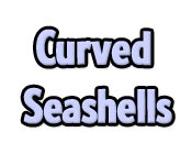 play Curved Seashells