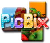 play Picbix